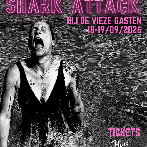 Shark Attack (7)